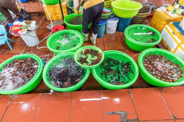 Fresh seafood at a market in Ha Long, Vietnam