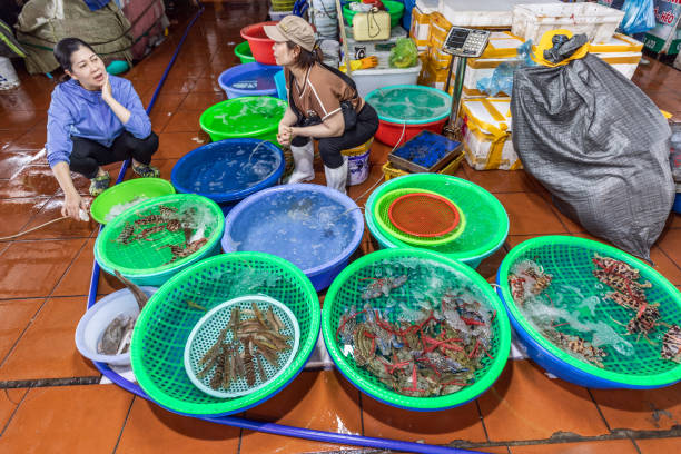 Fish market in Ha Long, Vietnam