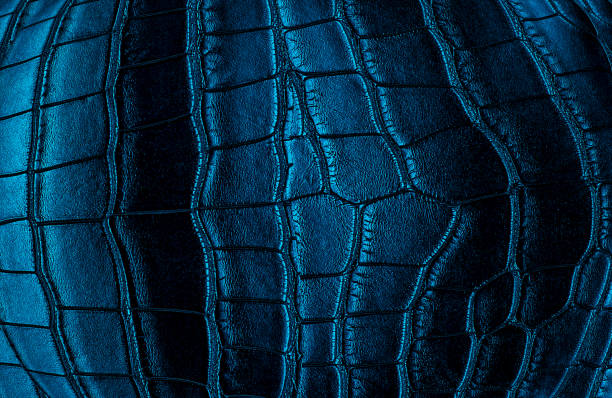 Dark blue leather texture background surface. Crocodile leather or alligator skin.
