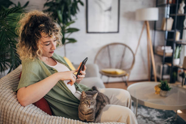 istock Woman relaxing with cat while using smartphone at home 2152243128