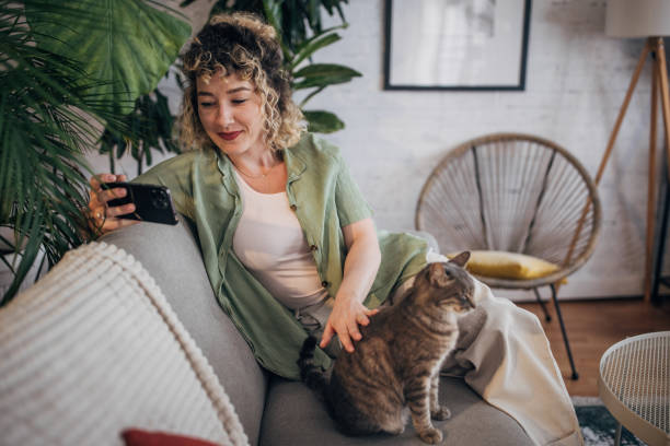 istock Woman enjoying time with cat while using smartphone at home 2152243181