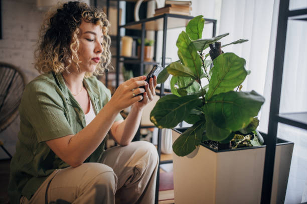 istock Woman examining houseplant with magnifying glass 2152243385