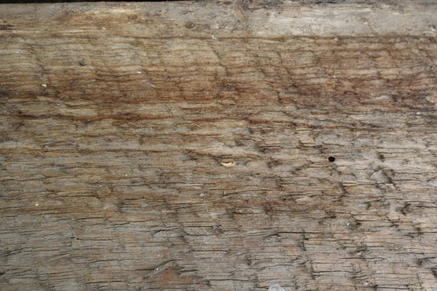 Wooden texture with natural patterns, can be used as a background