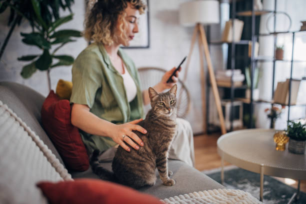 istock Woman relaxing at home with her cat 2152244021
