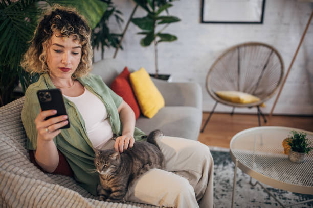 istock Woman relaxing with cat and smartphone at home 2152245075