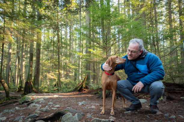 istock Senior Man Holding Vizsla Dog While Hiking in Sunlit Forest 2152251291