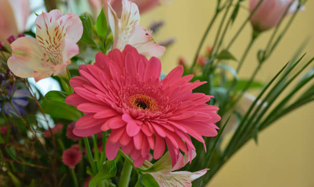 istock Bouquet with different kind of flowers 2152252258