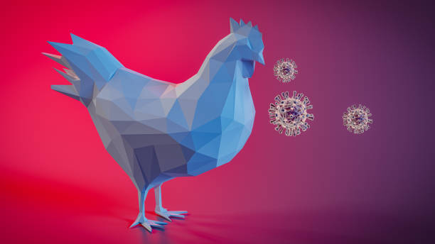 istock The concept of chickens being infected with bird flu. 3d rendering 2152255008