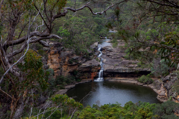 Blackfellow Falls in Rush Creek in Binna Burra Section of Lamington National Park, Queensland, Australia.