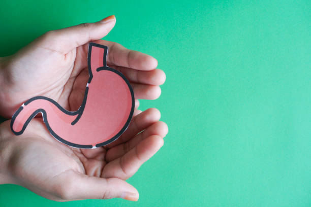 istock Hand holding human stomach on green background 2152264616