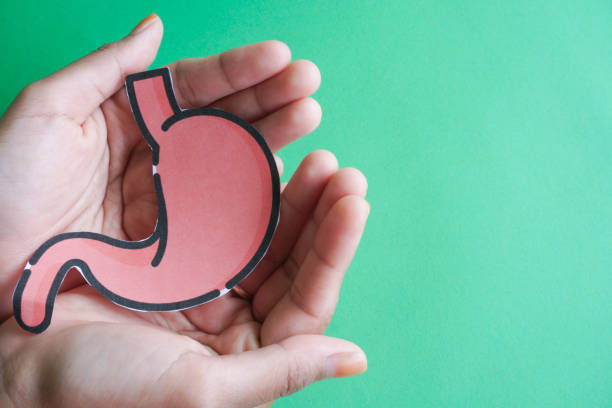 istock Hand holding human stomach on green background 2152264833