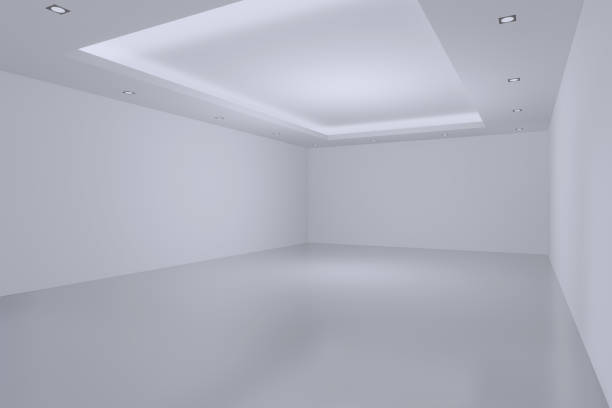 Empty Room interior design.The backdrop for Furniture,Accessories,Appliances,light,booth.Hall for activity,meeting.Big room for entertainment,event,sports.Indoor  for living room,office.3d render.