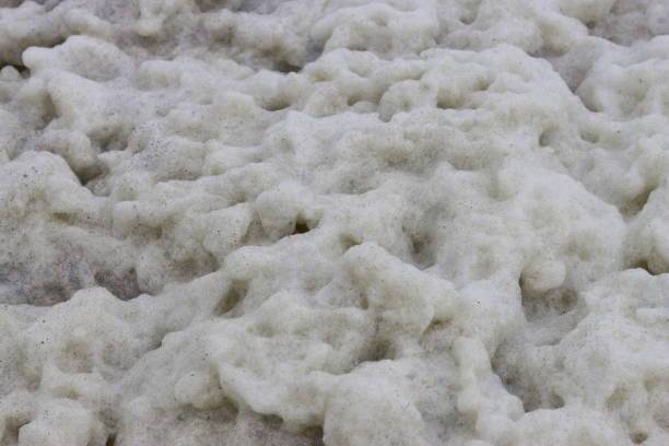 Close up of thick sea foam