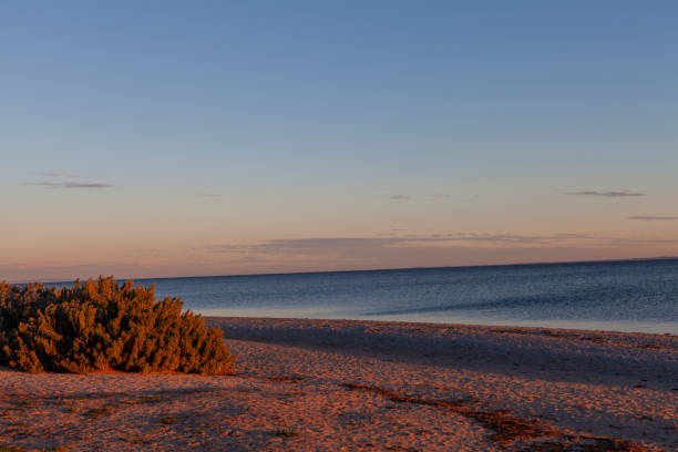 istock Wyndham Harbour Marina at sunset 2152274830