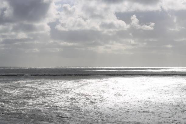 Sea water shining in evening light