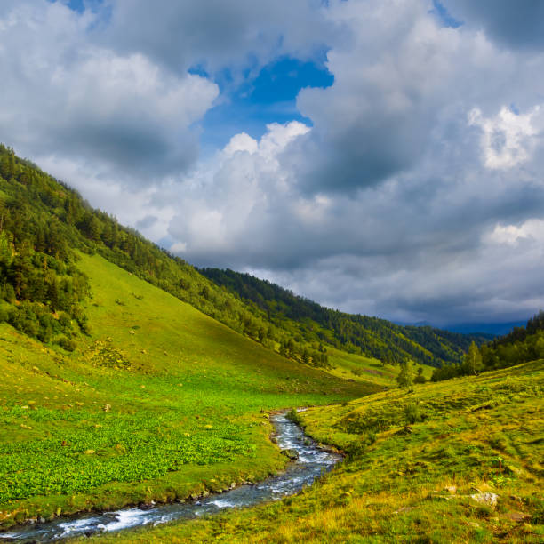 istock small brook flow among green mountain valley under a cloudy sky 2152281980