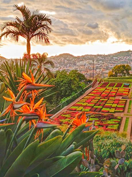 Tropical Garden of Funchal in Madeira Island, Portugal