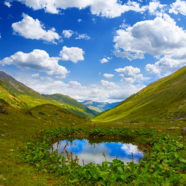 small lake among green mountain valley under cloudy sky