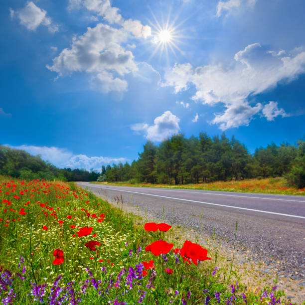 long asphat road under a sparkle sun, summer transportation scene