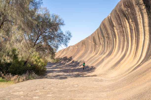 istock Wave Rock - Natural rock scuplped by time into a colossal ochre wave 2152286087
