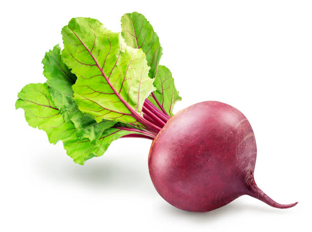 istock Red beetroot on stem with green leaves on white background. File contains clipping path. 2152287572