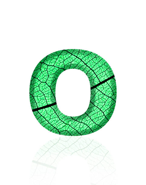 Extreme close-up of three-dimensional green leaf vein alphabet letter O on white background.