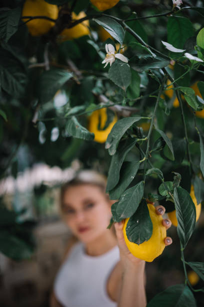 istock Woman holding a lemon from the tree 2152287989
