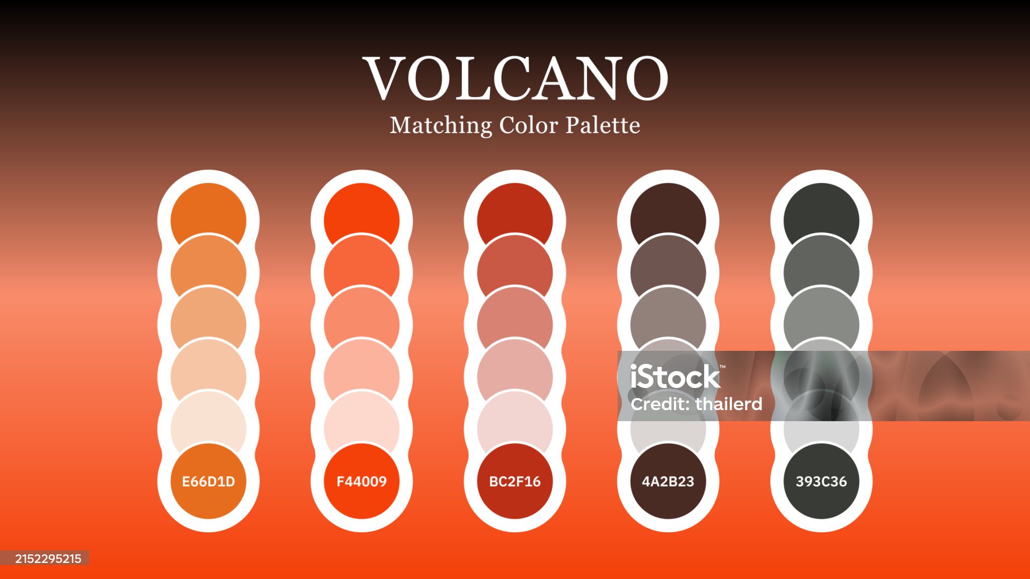 ภาพขายดีประจำเดือนพฤษภาคม 2567 | Best Image Sold in May 2024 ภาพขายดีประจำเดือนพฤษภาคม 2567 | Best Image Sold in May 2024