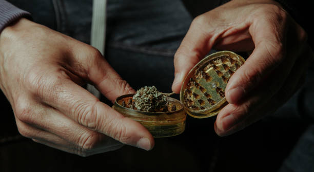 istock man about to grind a cannabis bud, web banner 2152297577