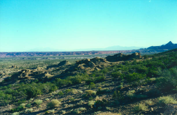 istock Immense area of low vegetation with a distant horizon 2152303083
