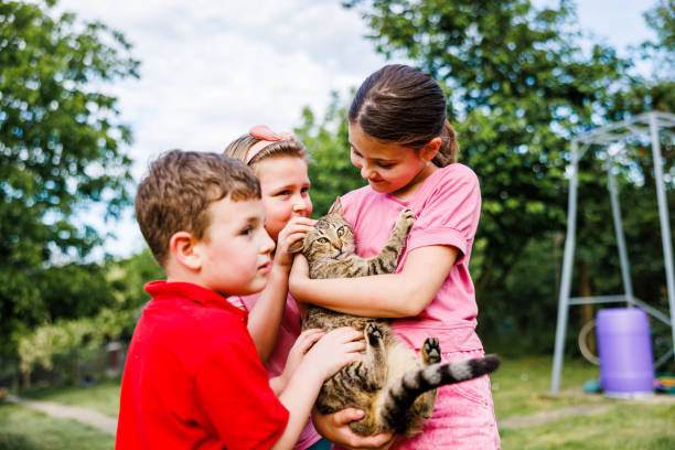 istock Kids have fun with cat 2152303999