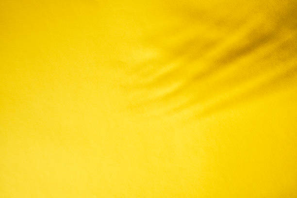 Gray Shadow of the Leaves on a Yellow Wall