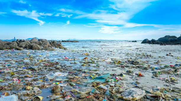 istock Trash, plastic cups and plastic bags at the beach. environmental problem concept and healing the world 2152304156