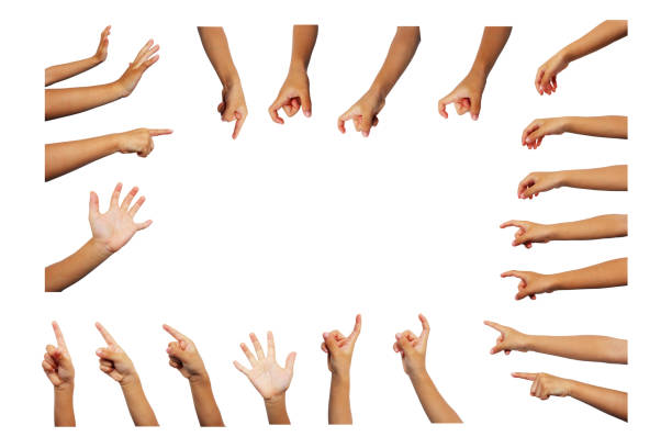 istock Collection of boy's hands in various poses on a white background. 2152305159