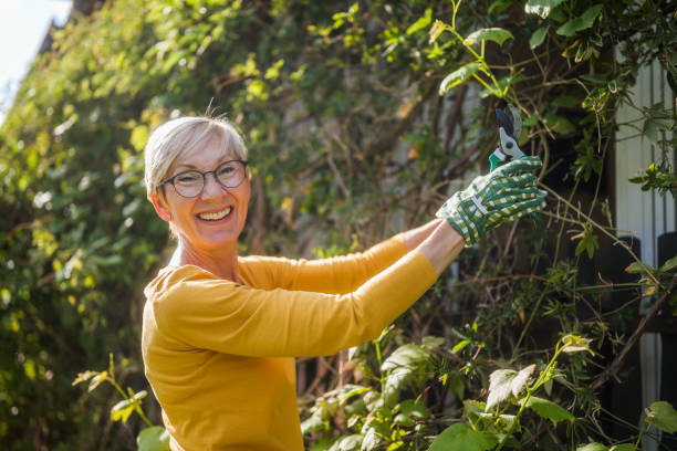 istock Senior woman gardening 2152305269