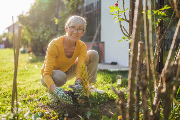 istock Senior woman gardening 2152305308