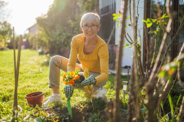 istock Senior woman gardening 2152305320