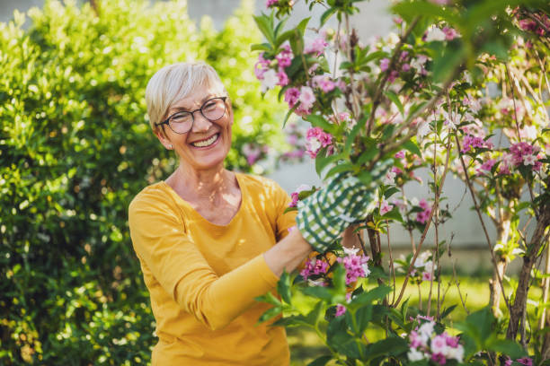 istock Senior woman gardening 2152305321