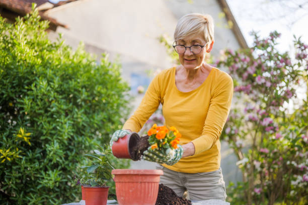 istock Senior woman gardening 2152305334
