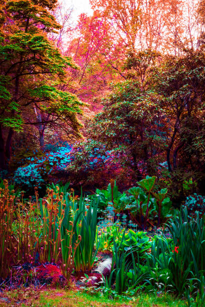 istock Surreal fantasy garden with multi-colored plants and foliage 2152314318
