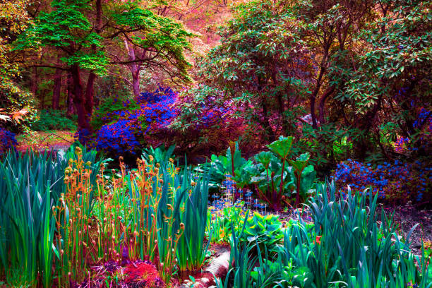 istock Surreal fantasy garden with multi-colored plants and foliage 2152314328