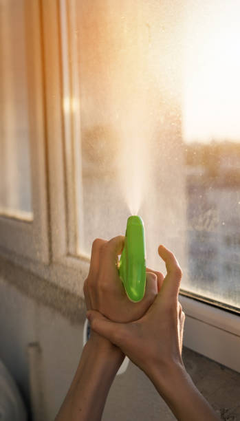 istock woman with spray cleaning window 2152318758
