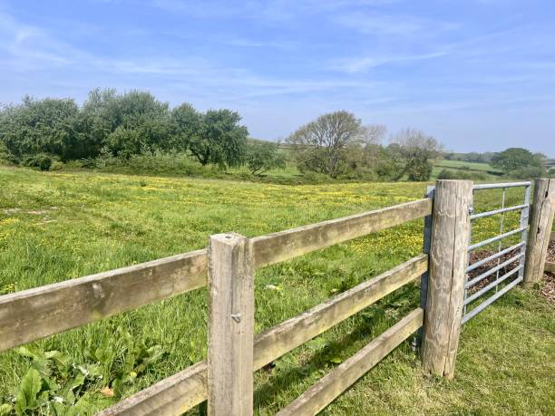 istock A walk in the country 2152320116
