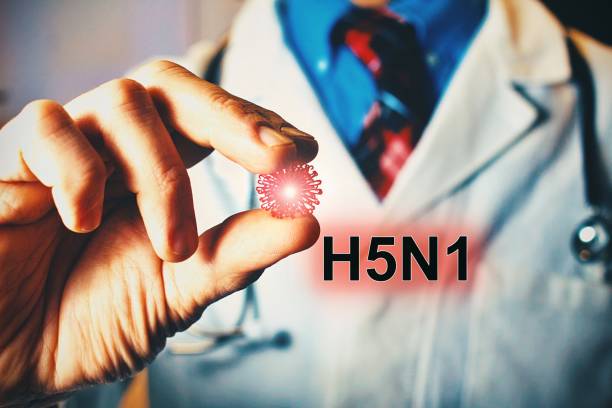 virus h5n1 - tay bác sĩ cầm mẫu virus. khái niệm chăm sóc sức khỏe hoặc y tế - cúm gia cầm hình ảnh sẵn có, bức ảnh & hình ảnh trả phí bản quyền một lần