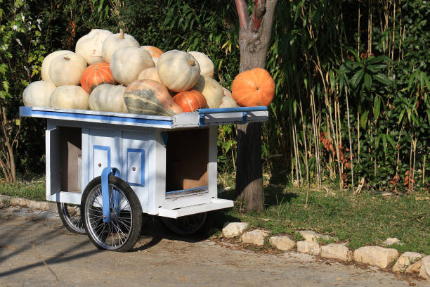 Symbol of rural agriculture, organic food, and seasonal fall harvest beauty.