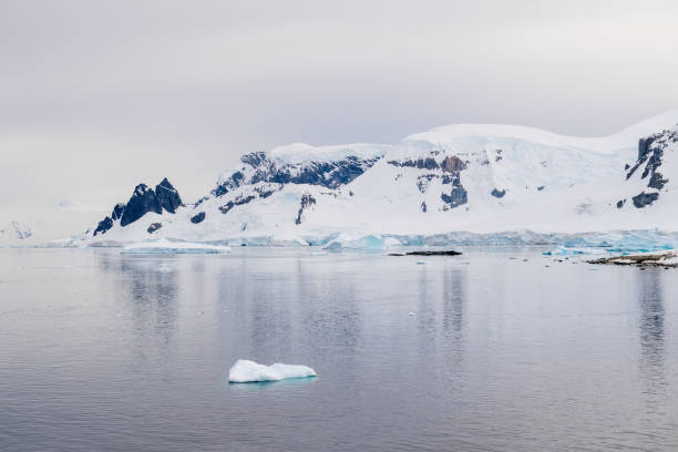 istock Antarctic landscape near  Danco Island 2152334467