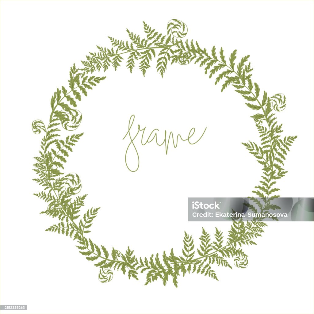 Fern Frame Graphics Vector Borderframe With Fern Leaves Stock Illustration - Download Image ...