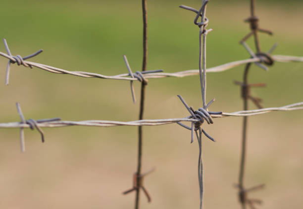 istock gray barbed wire gray barbed wire 2152335866