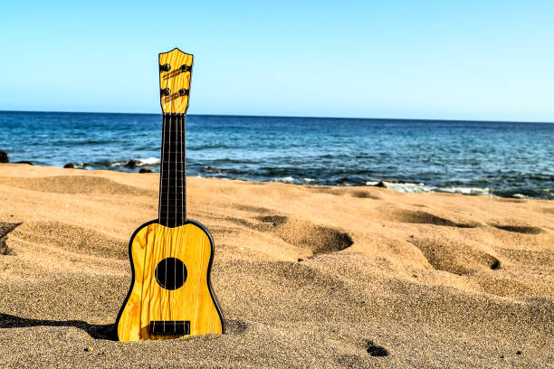 Ukulele on beach at sunset back and white