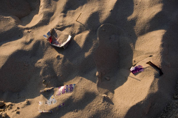 The famous Ipanema beach, in Rio de Janeiro, suffers from an environmental problem: garbage strewn across its sands, plastic, paper, organic waste and other debris left by uninformed visitors.